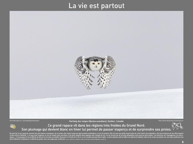 P2007 01LaVieEstPartout 